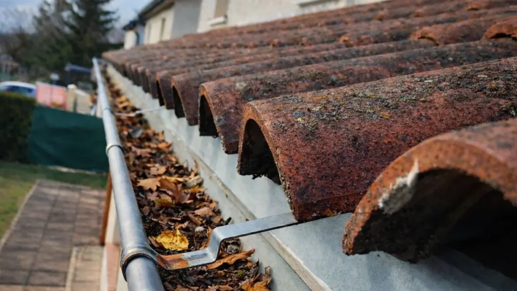 entretien-gouttiere-exterieur-avant-hiver