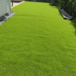 Pose de gazon synthétique avec préparation du sol et mise à niveau à Thoiry